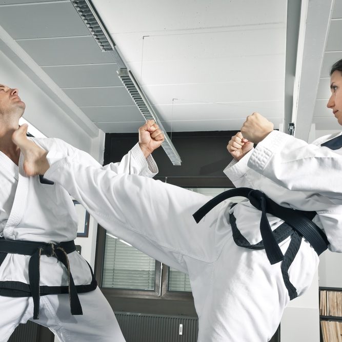 An,Image,Of,A,Martial,Arts,Master